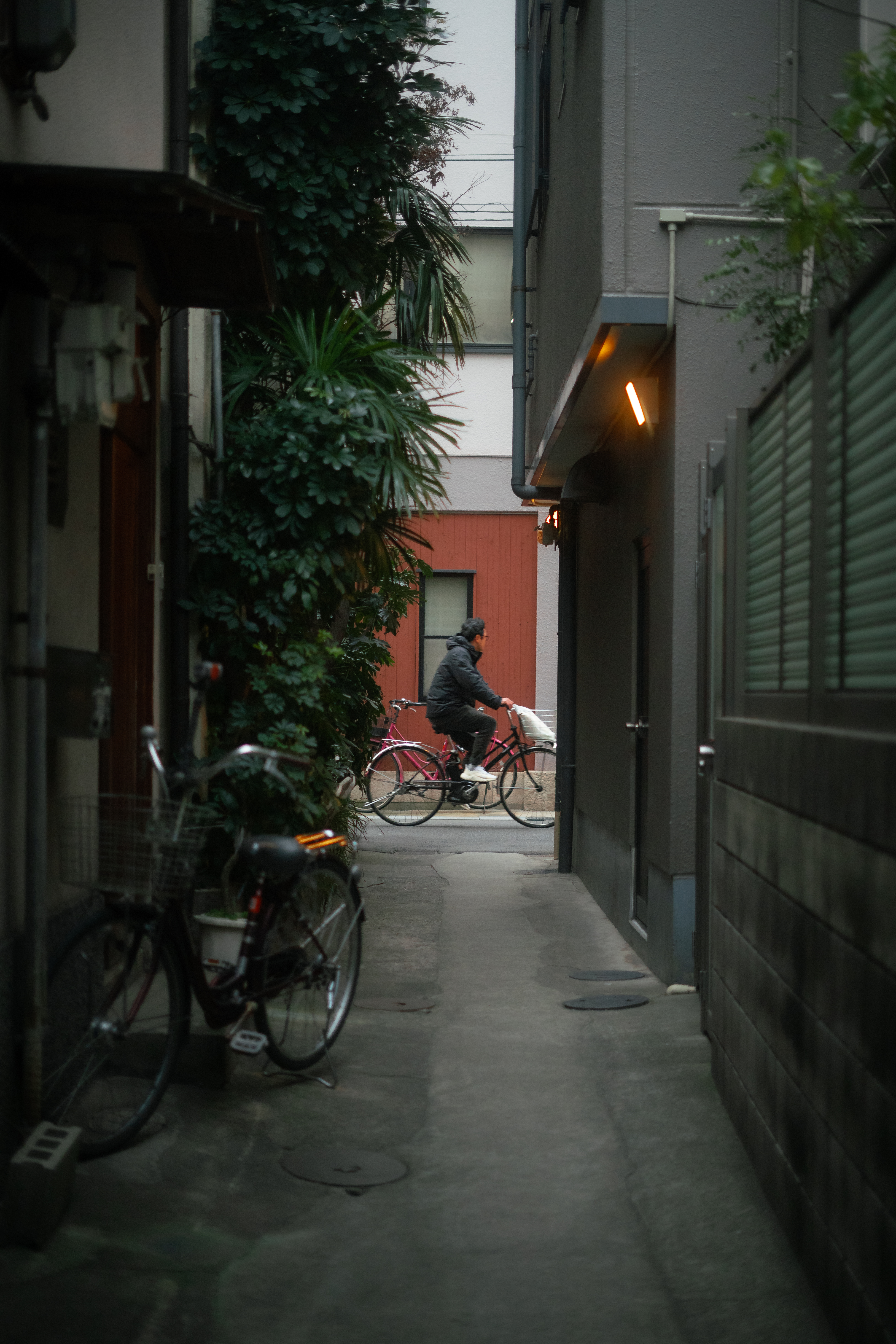 Cyclist passing through a Tokyo alley at night
